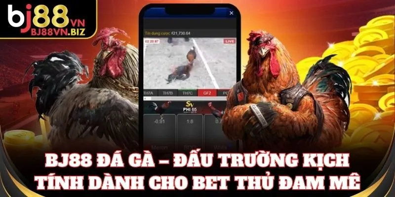 BJ88 đá gà – đấu trường kịch tính dành cho bet thủ đam mê