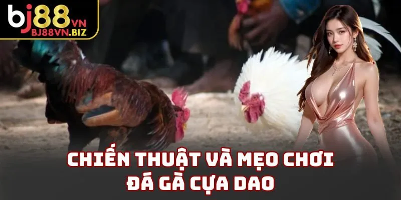 Chiến thuật và mẹo chơi đá gà cựa dao