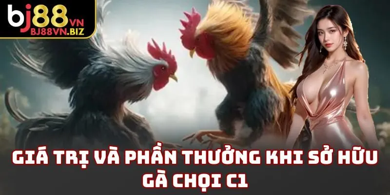 Giá trị và phần thưởng khi sở hữu gà chọi c1