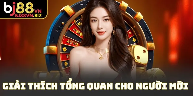 Giải thích tổng quan cho người mới