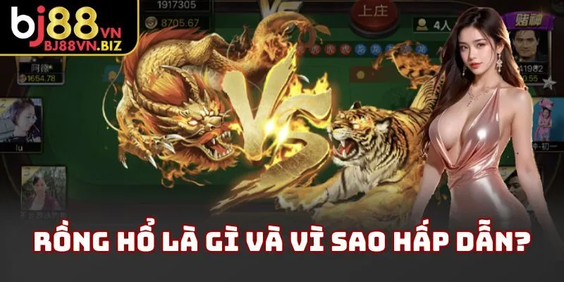 Rồng hổ là gì và vì sao hấp dẫn?